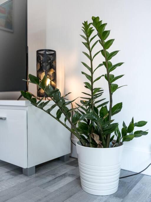 Logement Le Serein Тулон Экстерьер фото