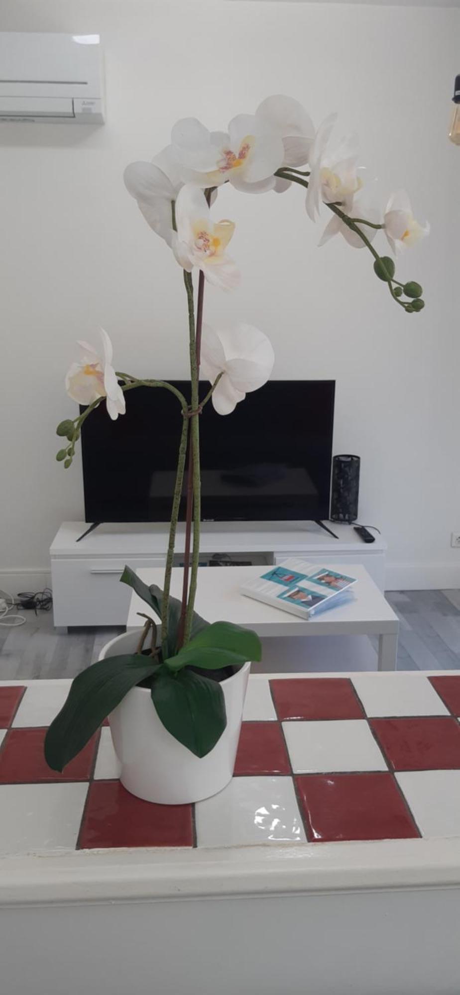 Logement Le Serein Тулон Экстерьер фото